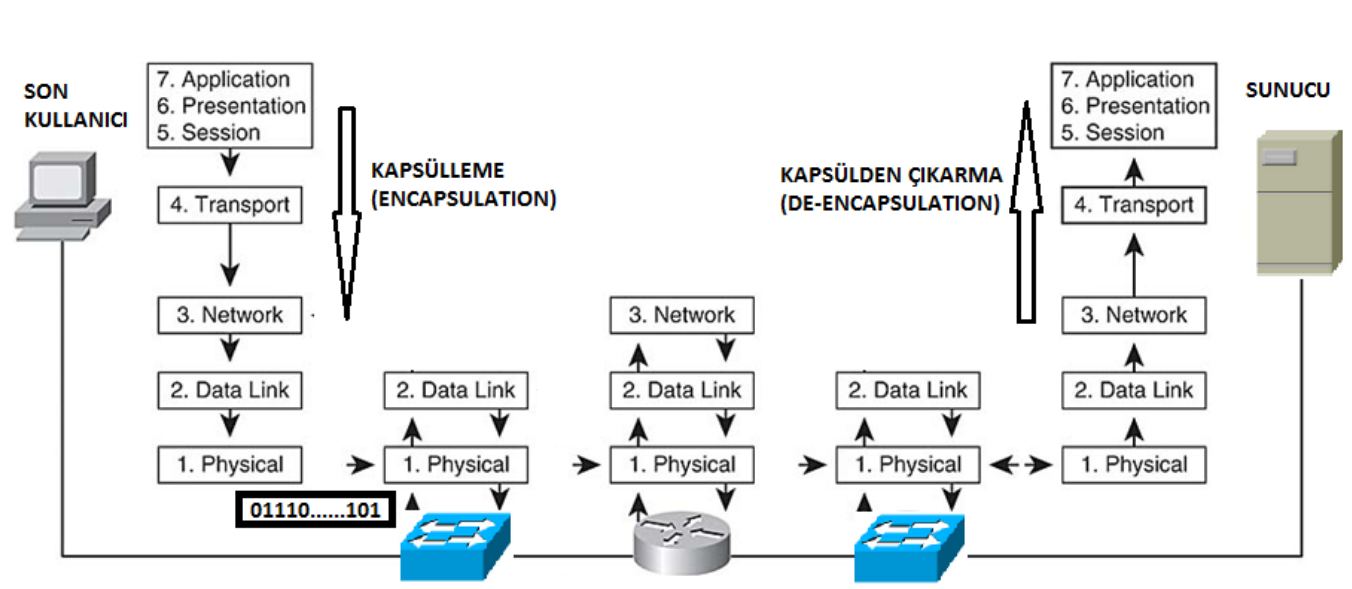 Pasted image 20260425005030.png